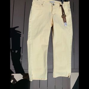 NWT Christopher Blue Crop Pants Size 4